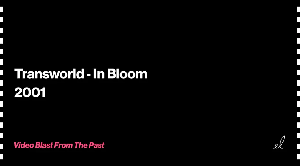 transworld in bloom skate video 2001